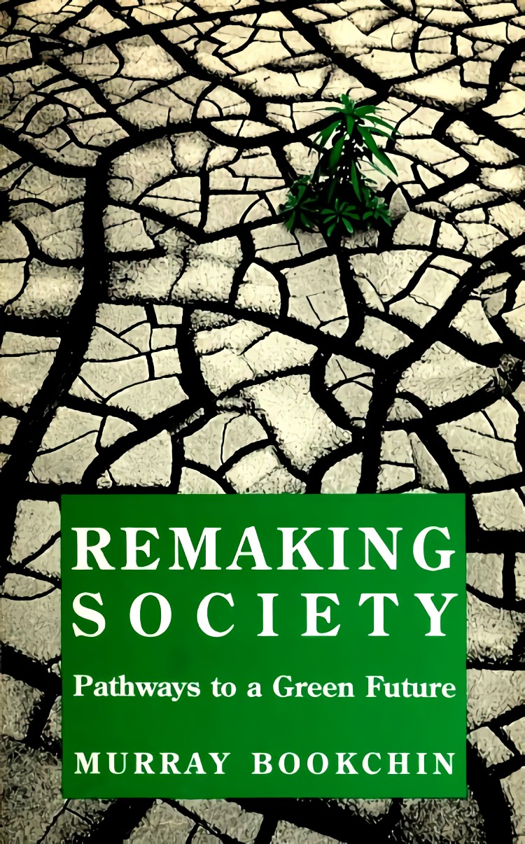 Remaking Society